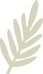 Leaf Element of Boho Safari Handmade Digital Paper Sets